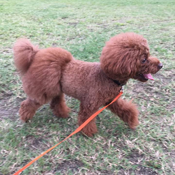 07f187e5 e5f0 40ee 998e 5afa3ba37bf1