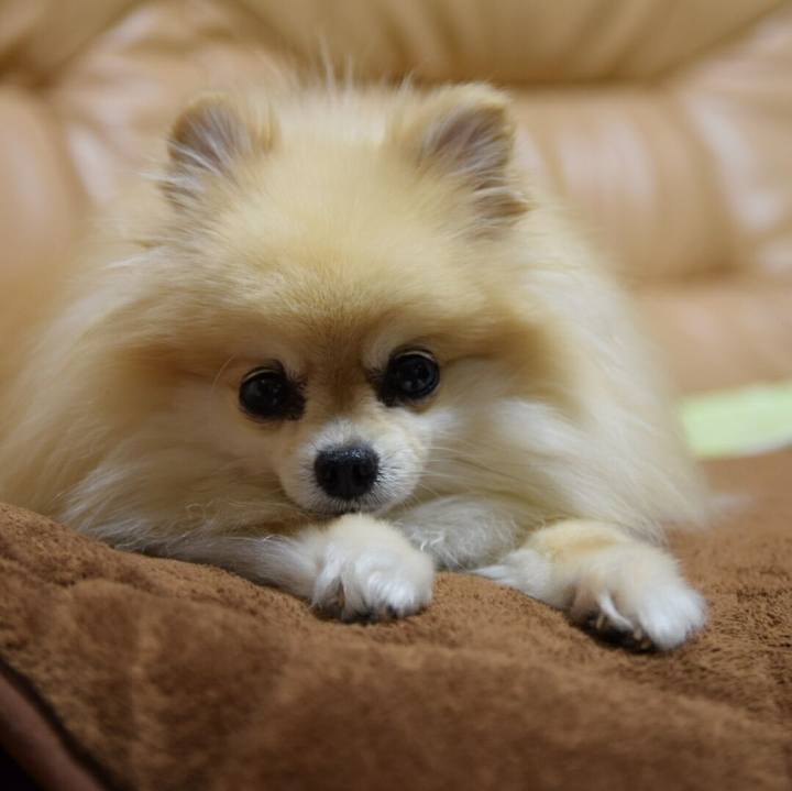 07f1abd6 bbdf 46ec b519 d2e74766e646