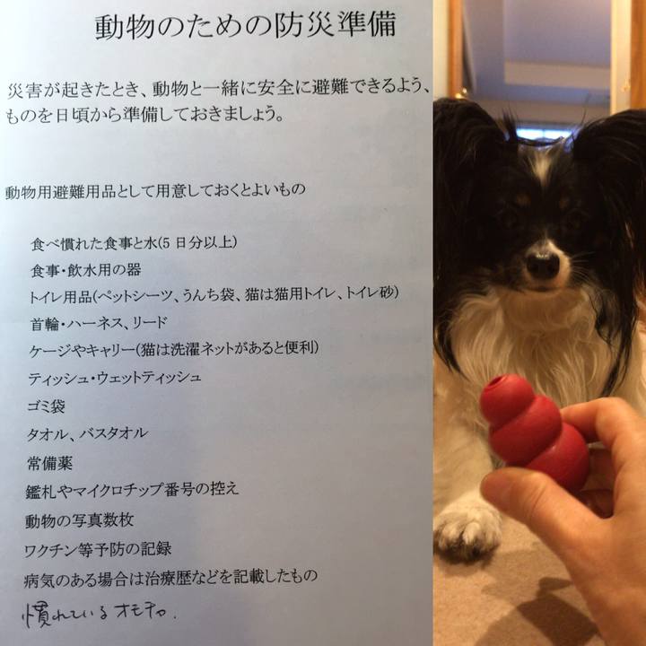 07f1c5dc 8759 4761 b534 482e72c8e51e