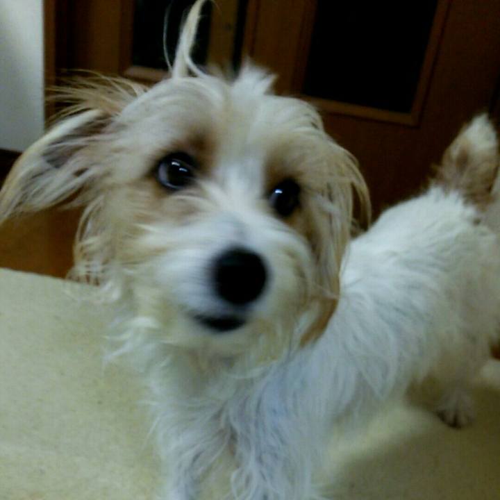 07f22ac7 fbfb 43c2 9b3b f9d222d10e24