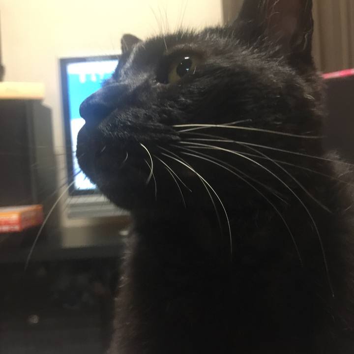 07f24b52 59cd 4ef7 a381 8f908c27932a