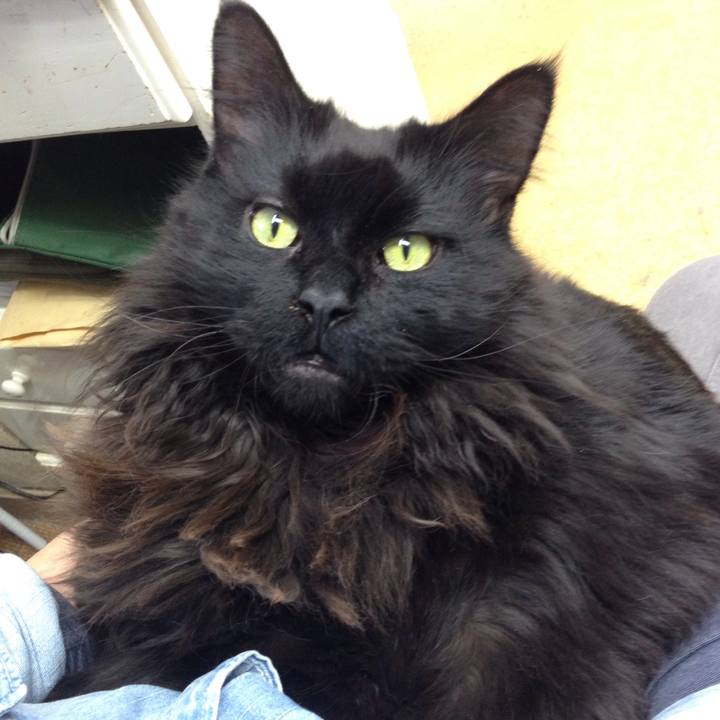 07f265f1 6b1b 4e17 869b 3e50f5b2cf14