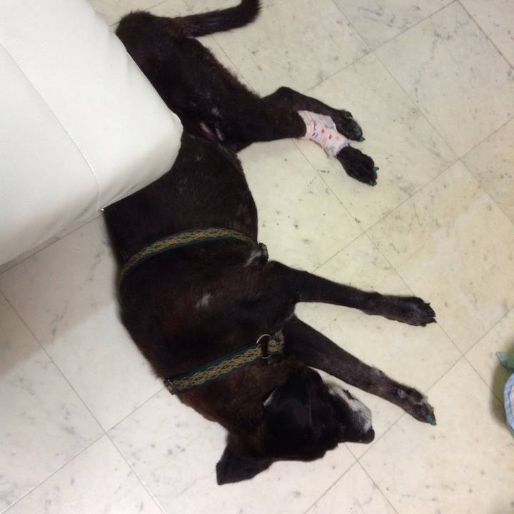 07f2b45d fdc4 43b1 ab07 bc90e32518ae