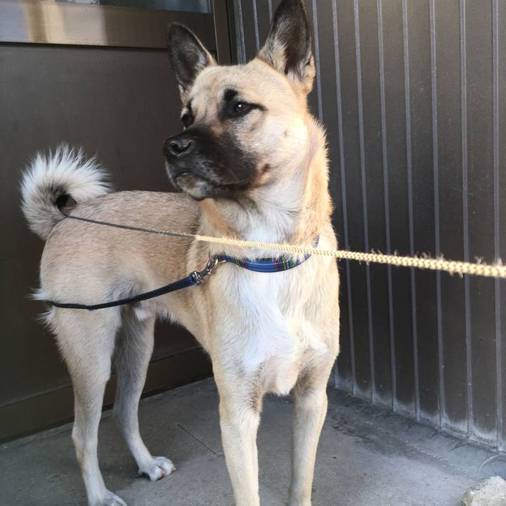 07f3dd6f 4d25 45c1 b682 ba4f16563186