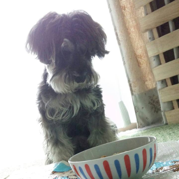 07f4a041 94f6 4d40 a500 bbb0e7dfac9f