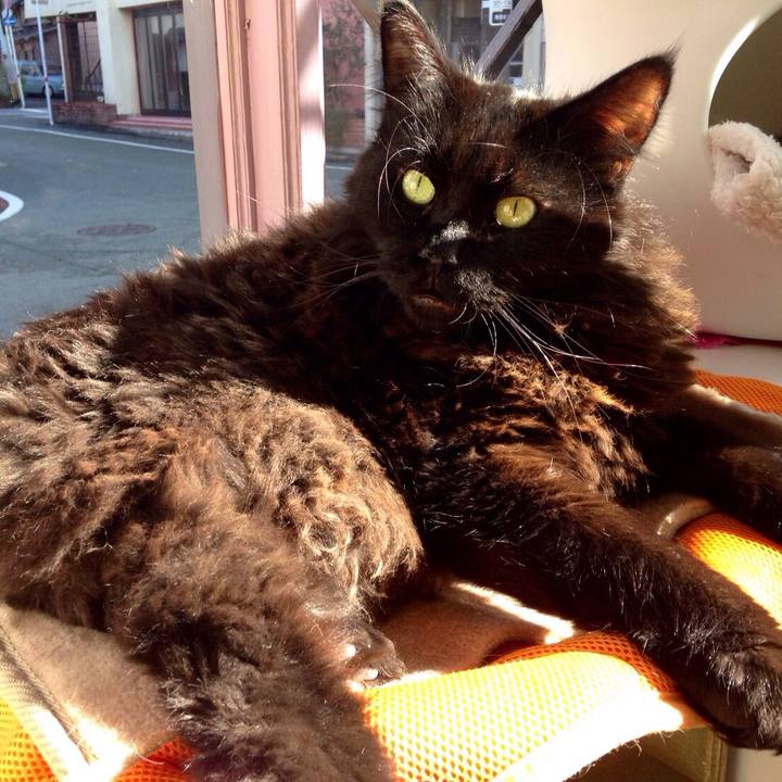 07f4b4af 4e20 408e 9664 40ca61785481