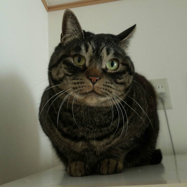 07f4f5bb a92f 41f2 83d0 6c6a86d92c06