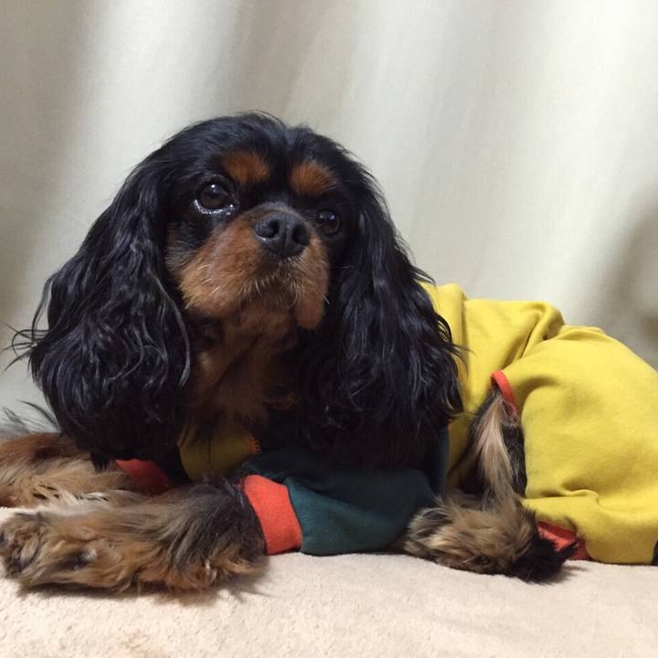 07f5055e d61b 4196 a405 2a646898260e