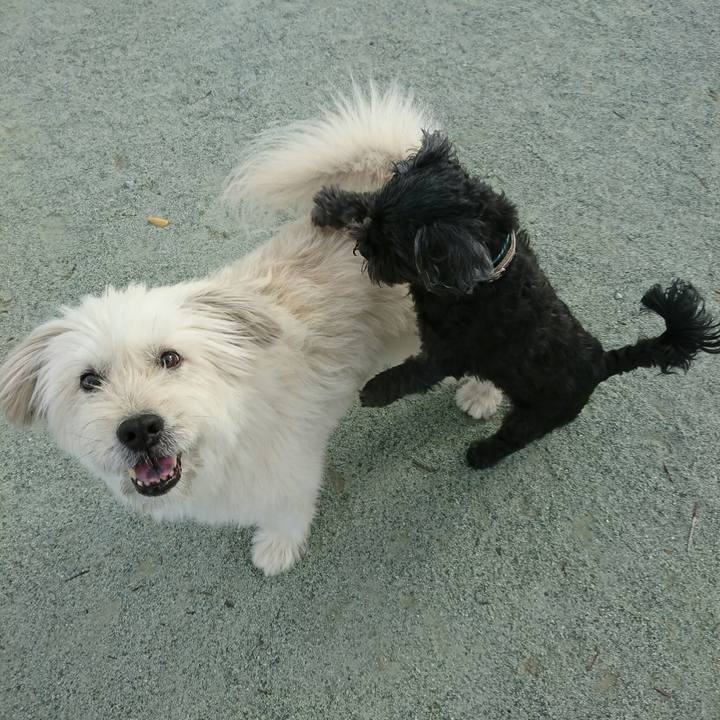 07f58530 9856 47da b95d 34b42d3f48c3