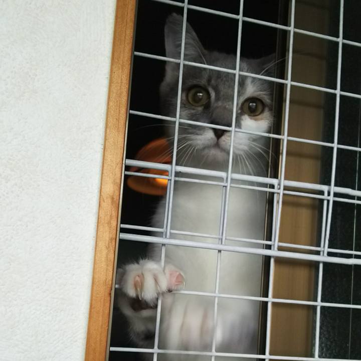 07f694ba 2afc 409f a910 34a8cd865e9a