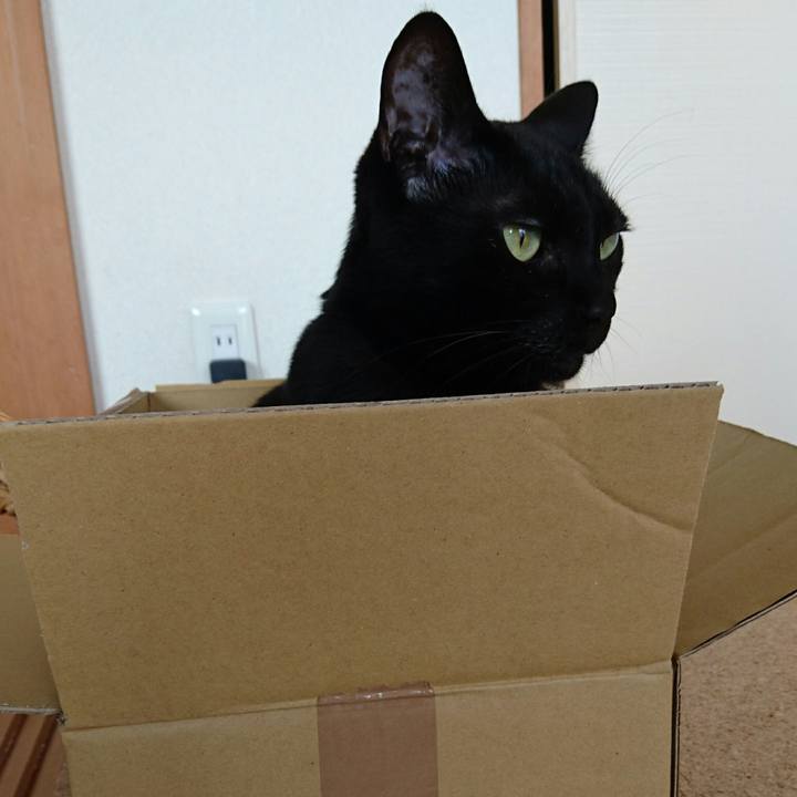 07f69aa5 9dab 4852 b290 569e320aa3ff