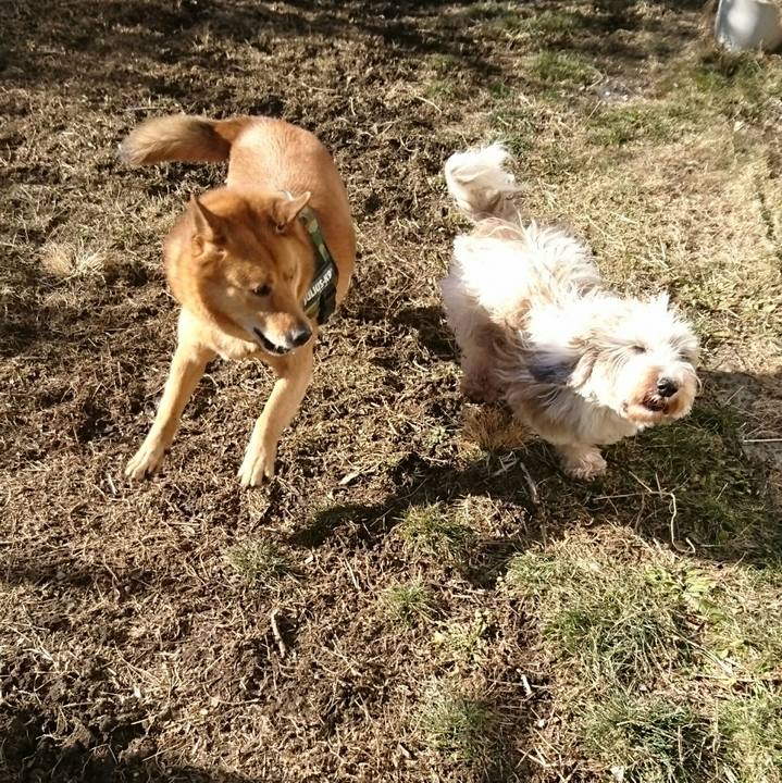 07f73fa8 2698 4b3f 8c55 f9fb0abfdb47