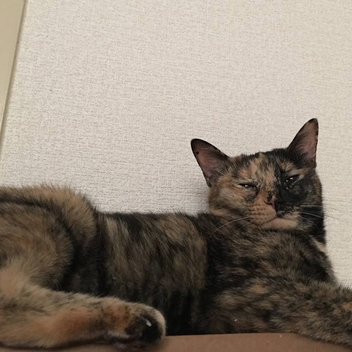 07f7519e 1a4d 4608 8f00 021bb4a7b7cb