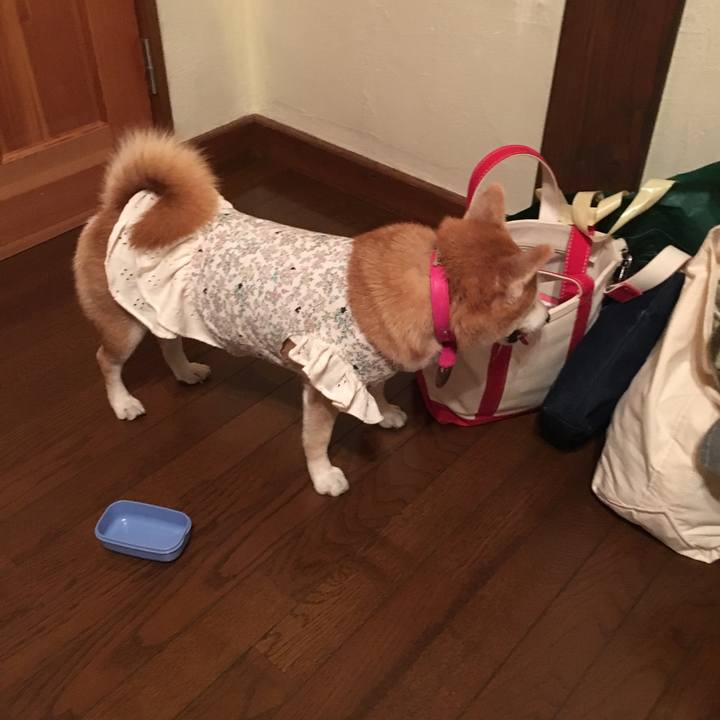 07f7648b fdef 4c83 a8bf 207835573069