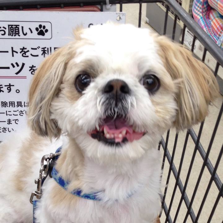 07f7754e fceb 4631 a63b 8a1687005d4f