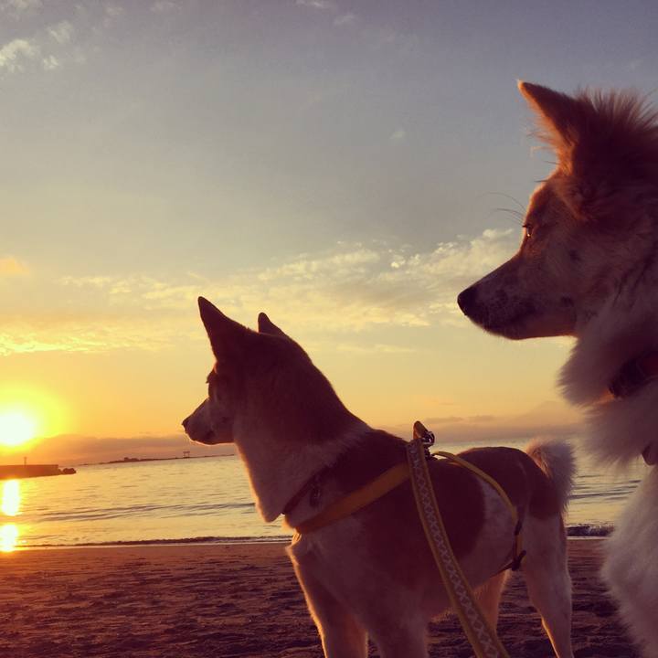 07f85179 01e8 4a70 a0ed 727d394805db