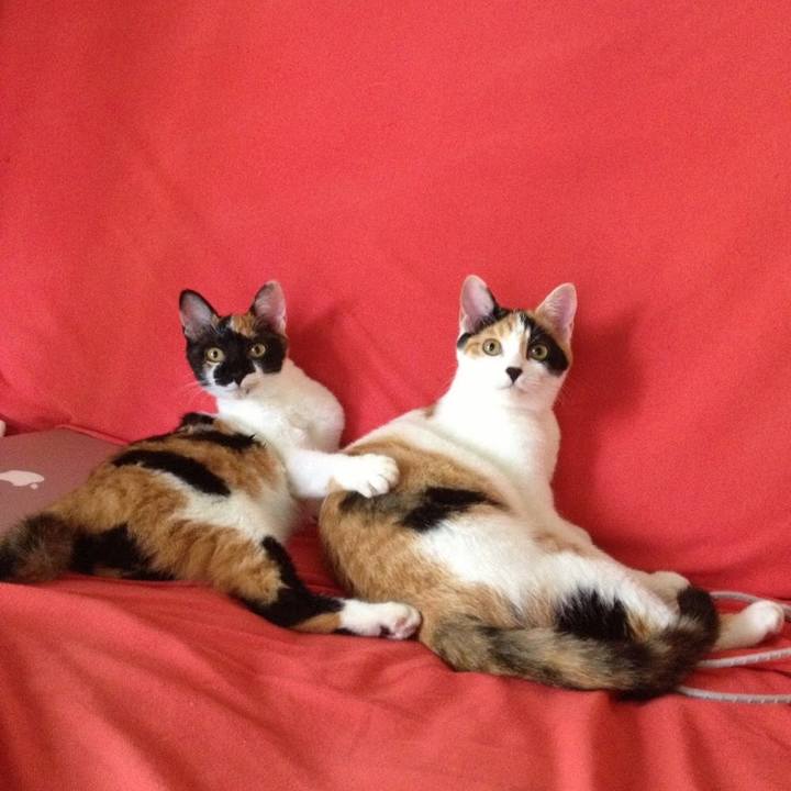 07f85cb3 1e38 4191 a5be ea75649b1bf2