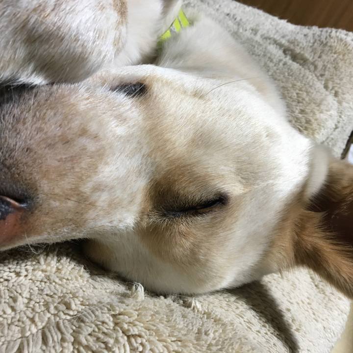 07f8b337 56fb 44c1 b008 8f23a8cf7a5d