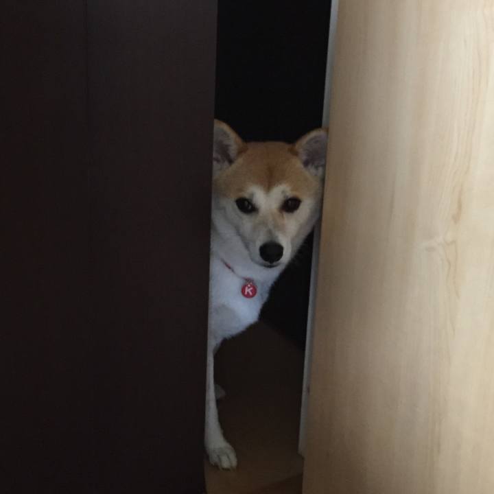 07f8b76c 4857 4854 8bc8 d6de7b47e06f