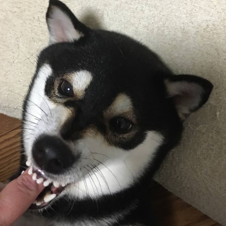 07f8fc84 7534 4510 846c 28b88dfb46d1