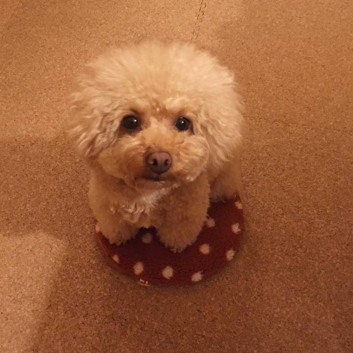 07f9482d 15d7 4eec 8b07 1062e09e3f80