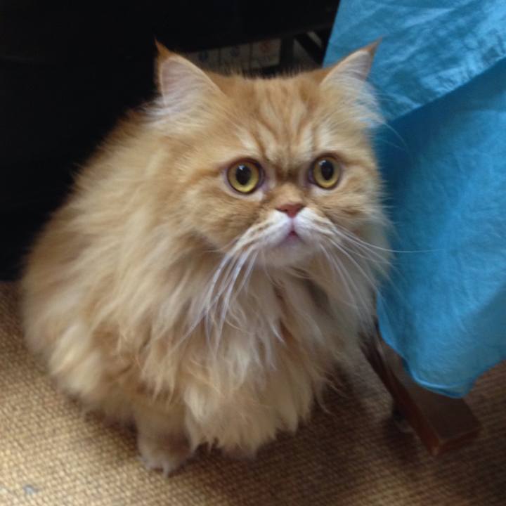 07f97b53 4819 4631 988f 2bd3240f89af