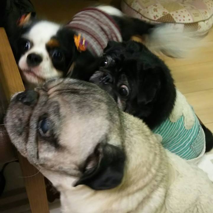 07faa093 df17 42fb 8c30 195fc50e6f8d