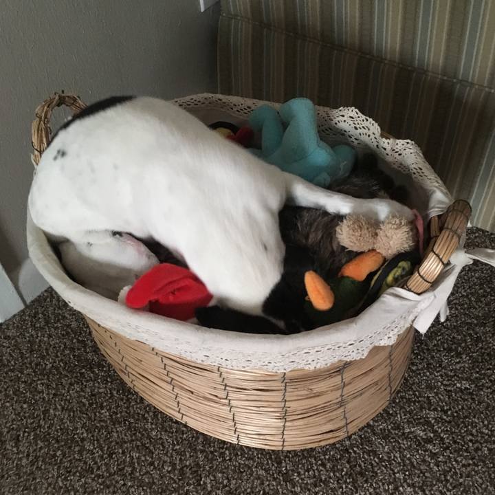 07fae994 4461 4f82 8a38 d4f6f2b4c129