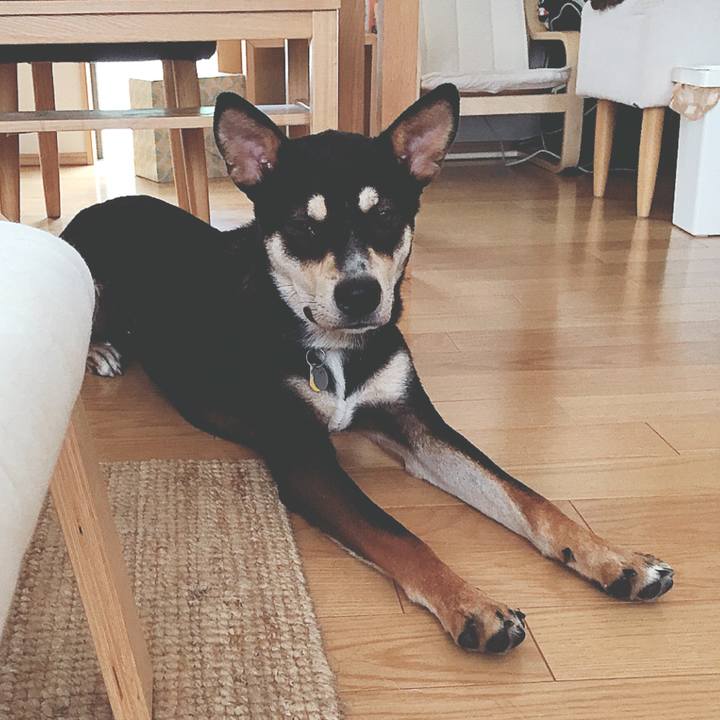 07fbaf36 d9e0 4b9c 8abb 3c3d0df22c8d