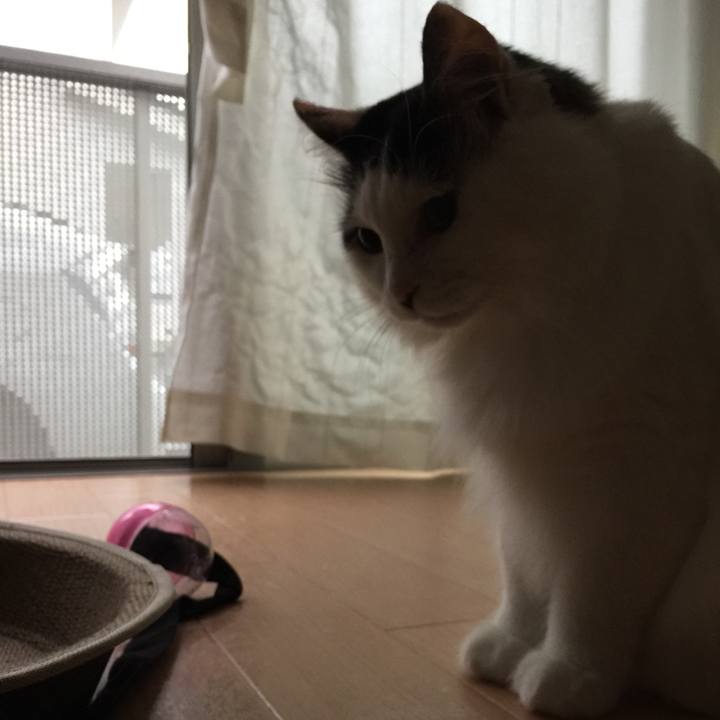 07fbfc6e dfb6 4525 9fa7 0e755fce6d91