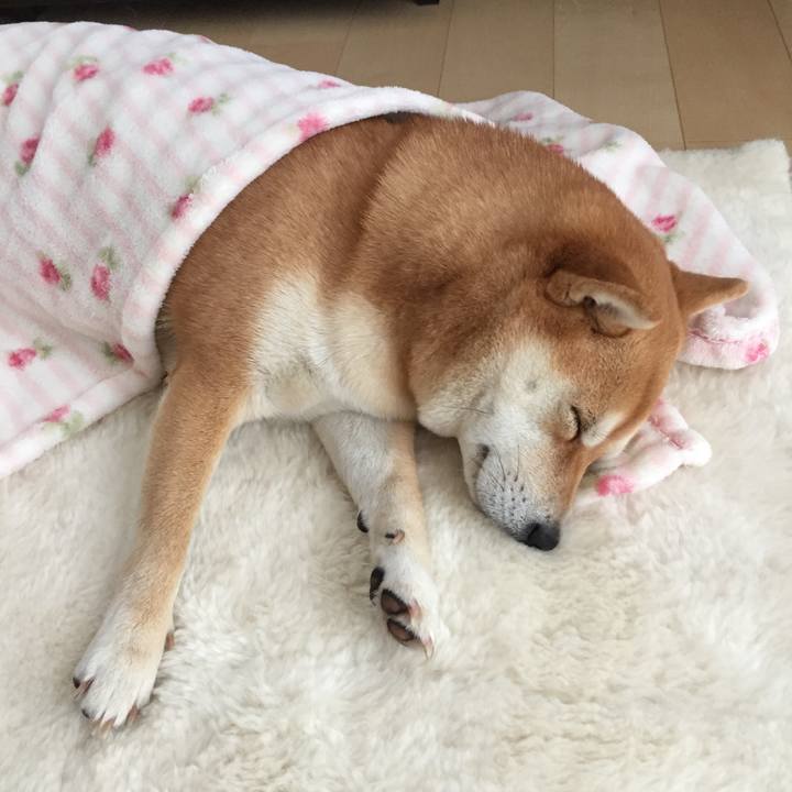 07fc66f2 3919 49b7 81b4 f4ca7f3872a0