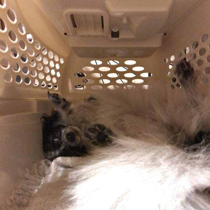 07fc9205 029e 478a 9058 0375bd7dd702