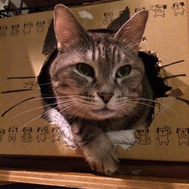 07fd2740 39c3 4cba aed2 8dc409702815