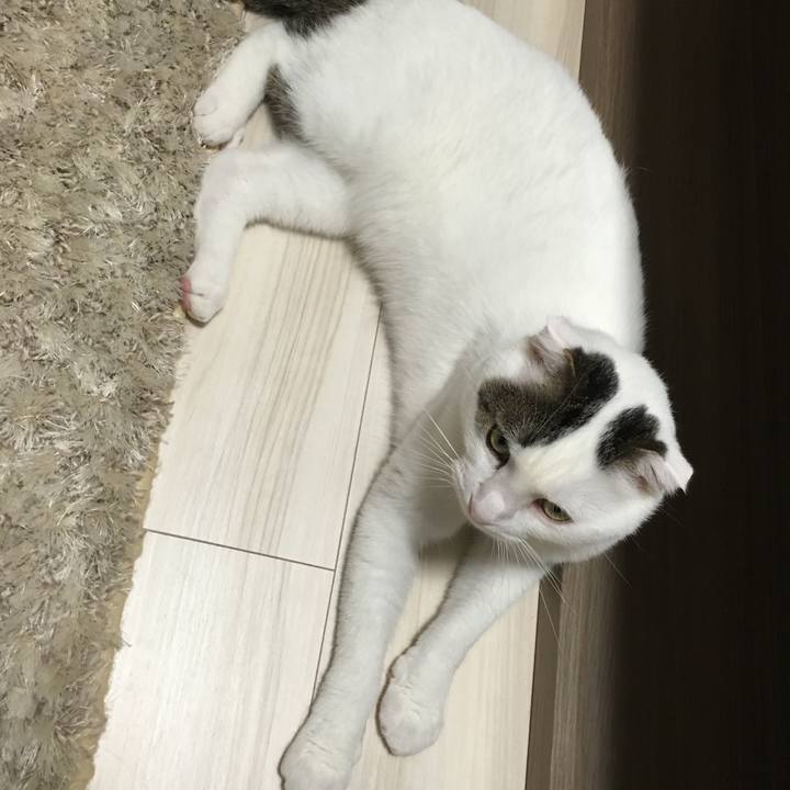 07fd2e2e 7ec9 4111 93a4 ff8dd0eb4f31