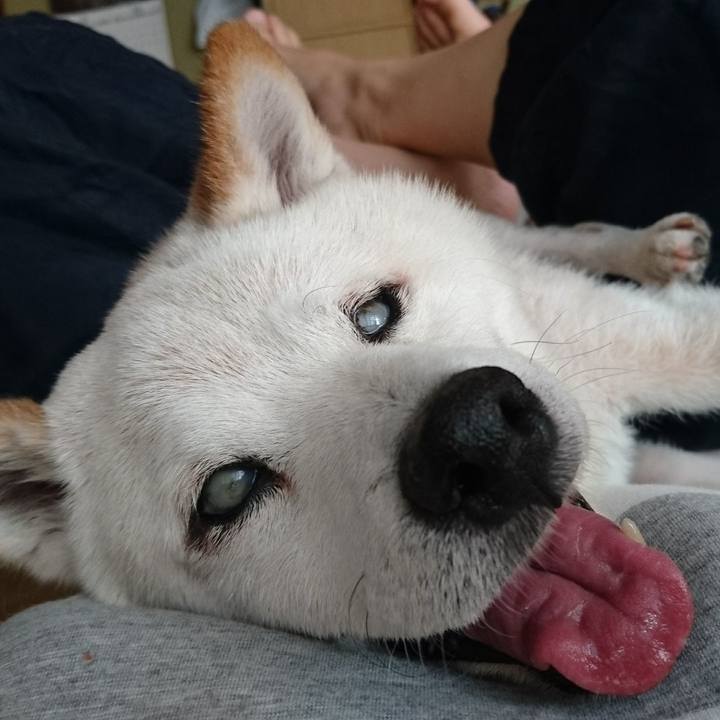 07fd2fee fbf4 47b5 9b2e 5c819e492728