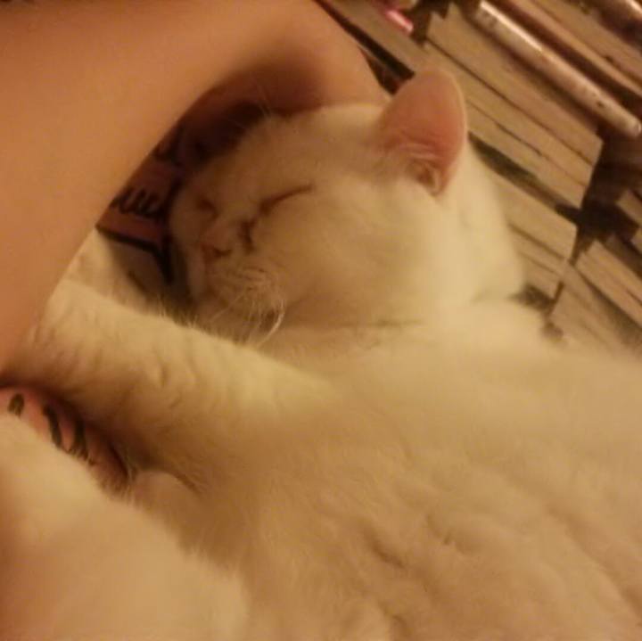 07fe5e60 31c6 4f18 bf2c 0eb037fcb49d