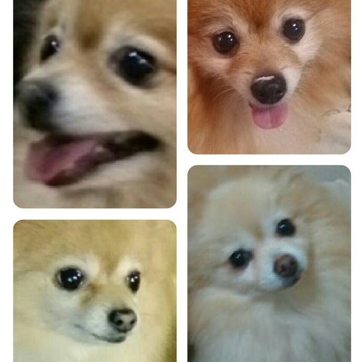 07fea2e2 1631 473f 8247 ce0e5280c681