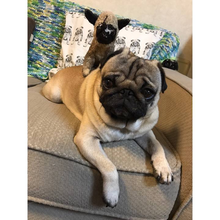 07ff1e5a 369f 435e b790 9ef27dd18fa9