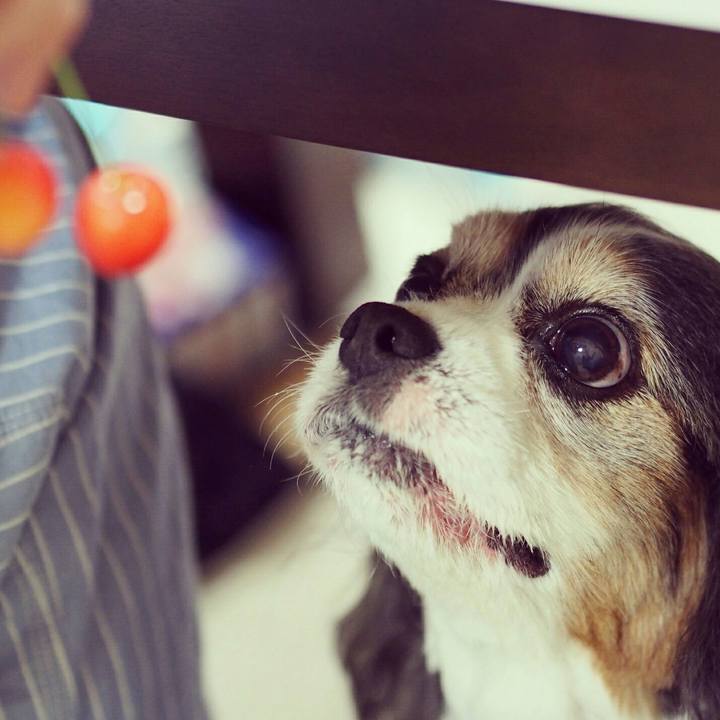 07ff2acd a8ad 4544 a9d4 7eef0b684007