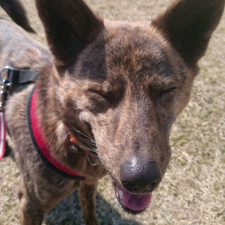 07ff3f40 c588 455e 91dc 14e30ae66b7f