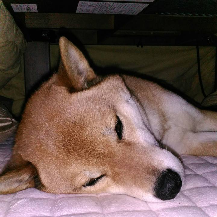 08000593 584f 47e8 9a62 5da085070375