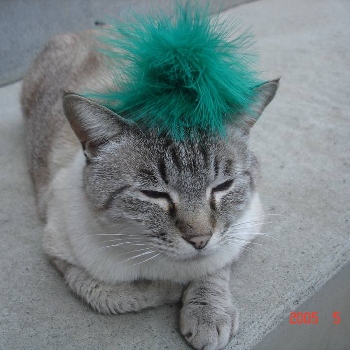 08008416 040b 4349 b57c 17ed109376bc