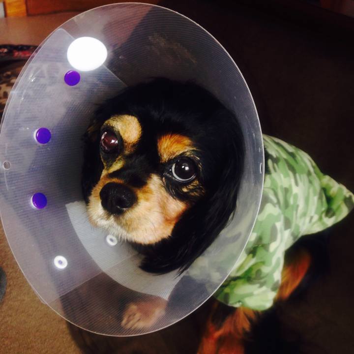 080104aa e3ff 47dc 8501 9e917c25d21f