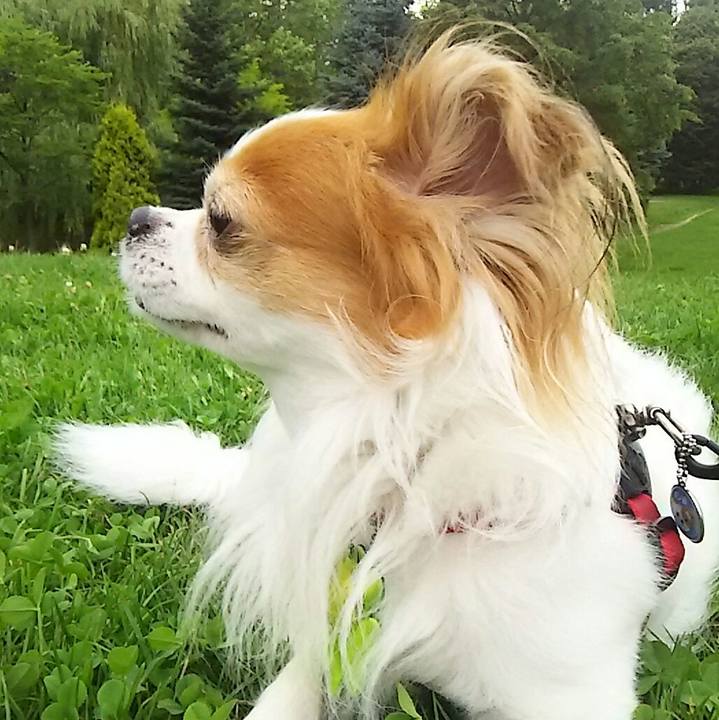 0801a2c6 897a 4d0e b492 484fcadc193a