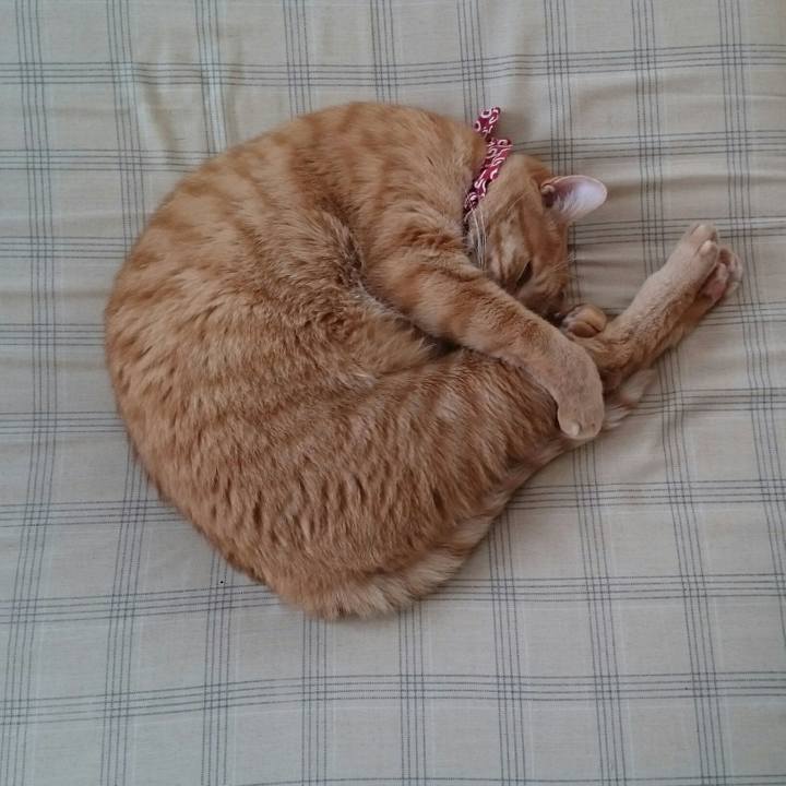 08021bd6 f5de 4146 bc71 a1a90fbaf2c2