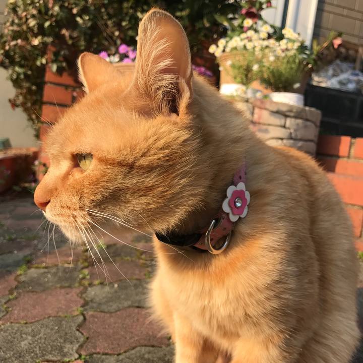 08022cdd 0e40 41ed 84ee f511daf27132