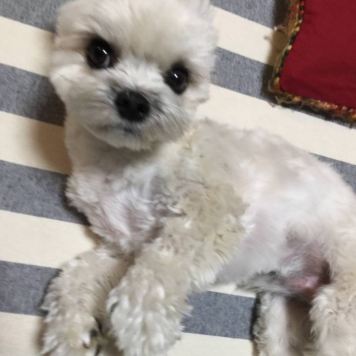 0802d99e 0bc3 4302 9343 54f1fe4b10b2