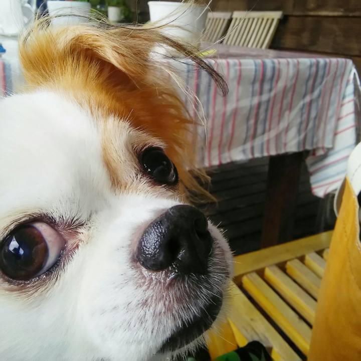 08033855 122c 45a3 9871 2d29401f4b5c