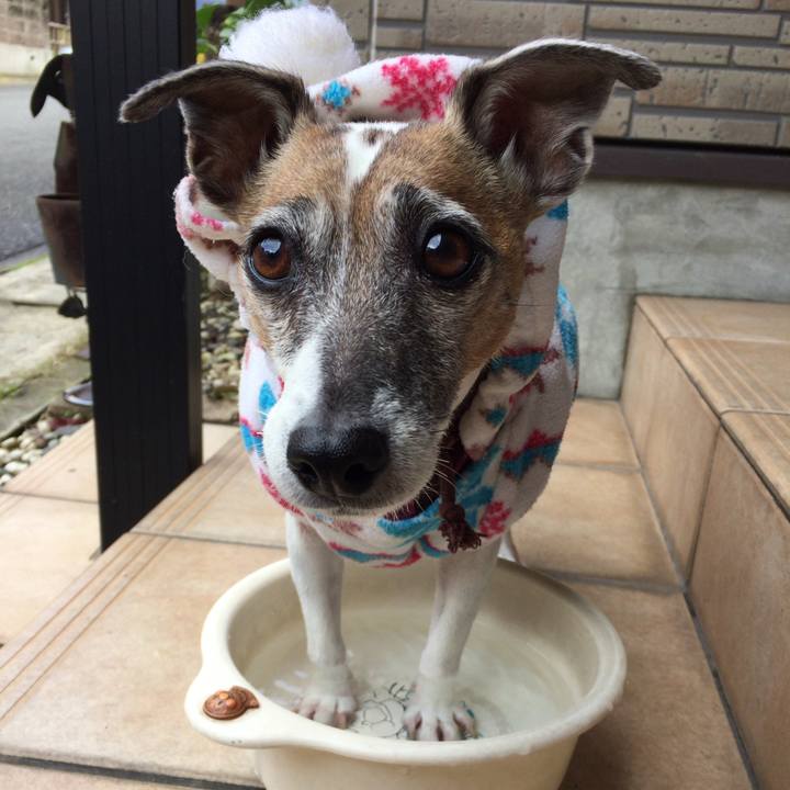 08034fc4 3f9c 4340 9fa8 687d776ac2c1