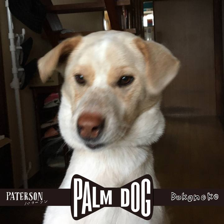 08040037 fe34 4644 91a2 5a1cc1674a71